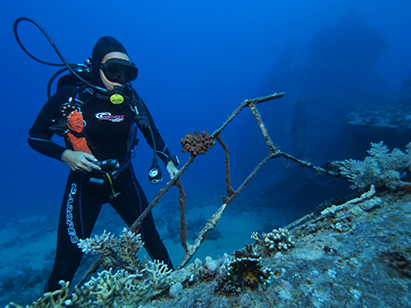 SSI WRECK DIVING